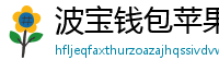 波宝钱包苹果版